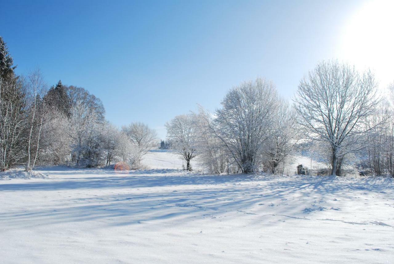 Pokojíky na Větrné Malsin Extérieur photo